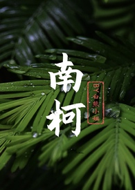 南柯(现言