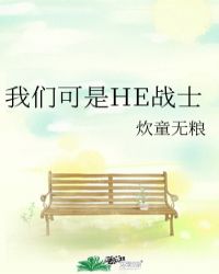 我们可是he战士小说