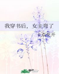 女主弯了免费阅读