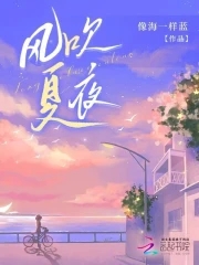 夏夜晚风独白