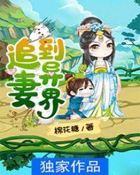 追妻三人行1-30剧集