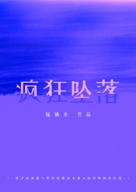 疯狂坠落小说讲了什么